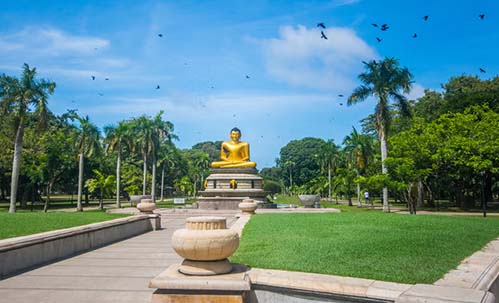 ieff Colombo tour:Viharamahadevi Park