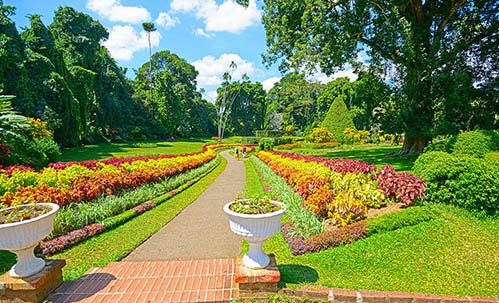 Perandeniya Botanical GardensKandy Lake