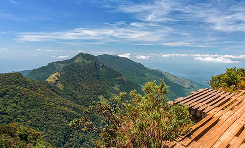  Horton Plains National Park and World’s End